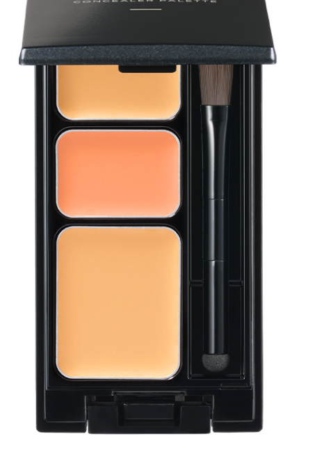 Etvos Mineral Concealer Palette