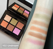 Load image into Gallery viewer, 2023 Holiday ADDICTION Unknown Familiar eyeshadow palette
