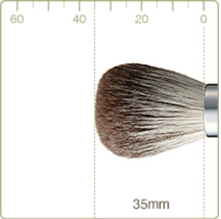 Chikuhodo R-C5 (RR-C5) Silver Fox (Cheek Brush New Release )