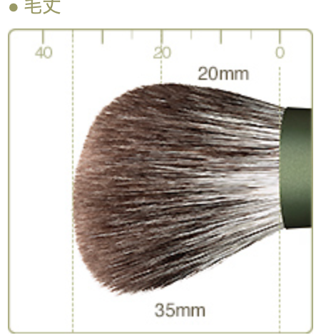 Chikuhodo FO-4 Cheek / Highlight Brush