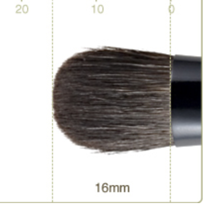 Chikuhodo Z-5 Eyeshadow