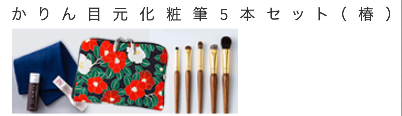 Bisyodo  Karin Eye Makeup Brush 5-Piece Set + Short Handle Brush Case (KR-SET5)