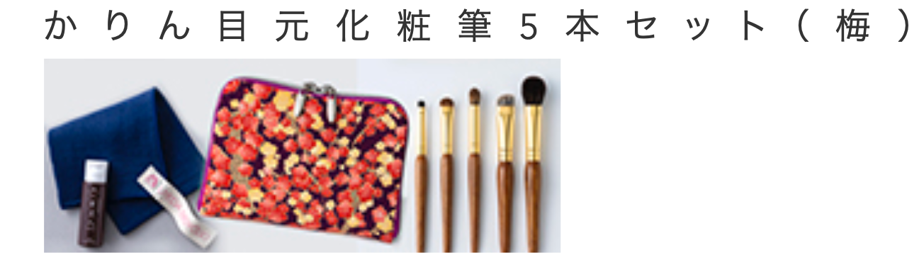 Bisyodo  Karin Eye Makeup Brush 5-Piece Set + Short Handle Brush Case (KR-SET5)