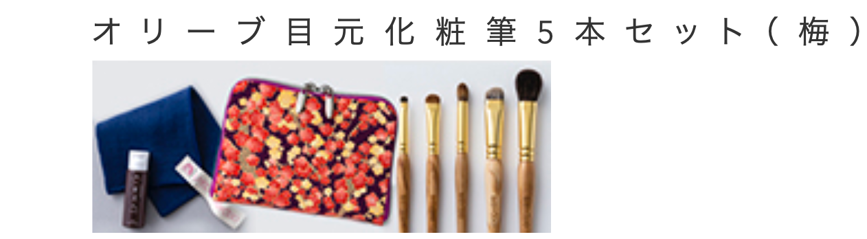 Bisyodo  Olive Eye Makeup Brush 5-Piece Set + Short Handle Brush Case (OL-SET5)