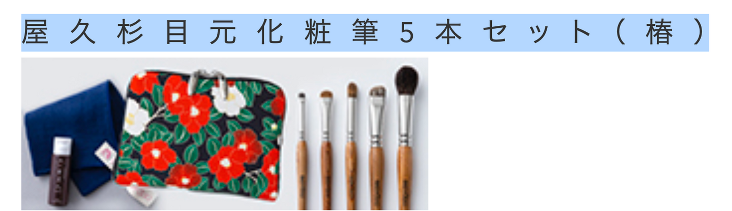 Bisyodo  Yakusugi Eye Makeup Brush 5-Piece Set + Short Handle Brush Case (YS-SET5)