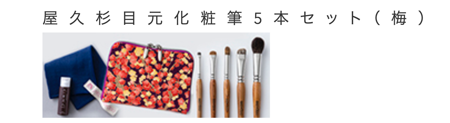 Bisyodo  Yakusugi Eye Makeup Brush 5-Piece Set + Short Handle Brush Case (YS-SET5)