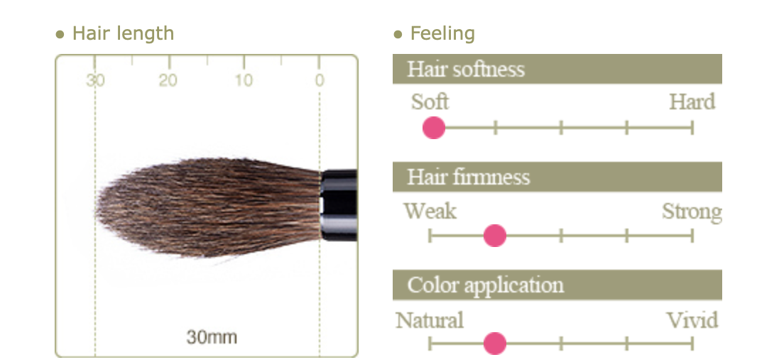 Chikuhodo KZ-5 Eye shadow brush (Kazan squirrel)