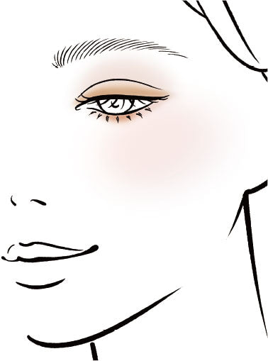 Elegance 40th Anniversary Palette