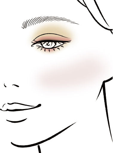 Elegance 40th Anniversary Palette