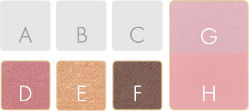 Elegance 40th Anniversary Palette