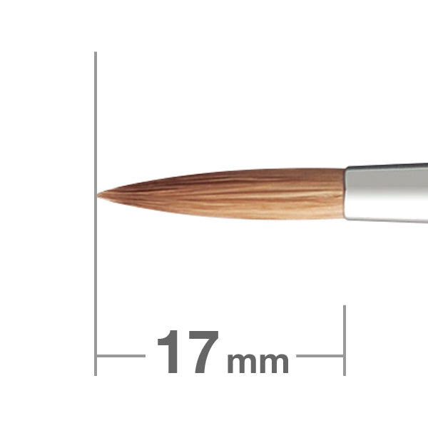 Paintbrush PRO SERIES 6 K