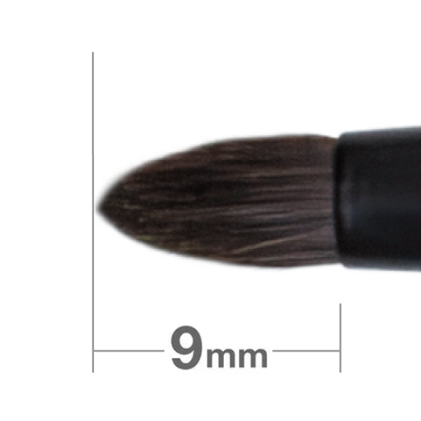 Portable Double-Ended Brush 01