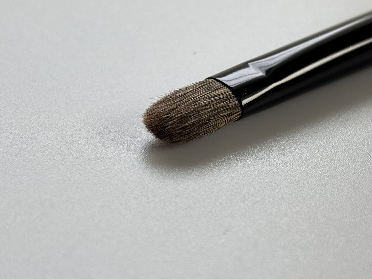 [Camellia] Eyeshadow Brush WF7SOVD12EPSQU<W3> (European Groomed White Squirrel Hair)
