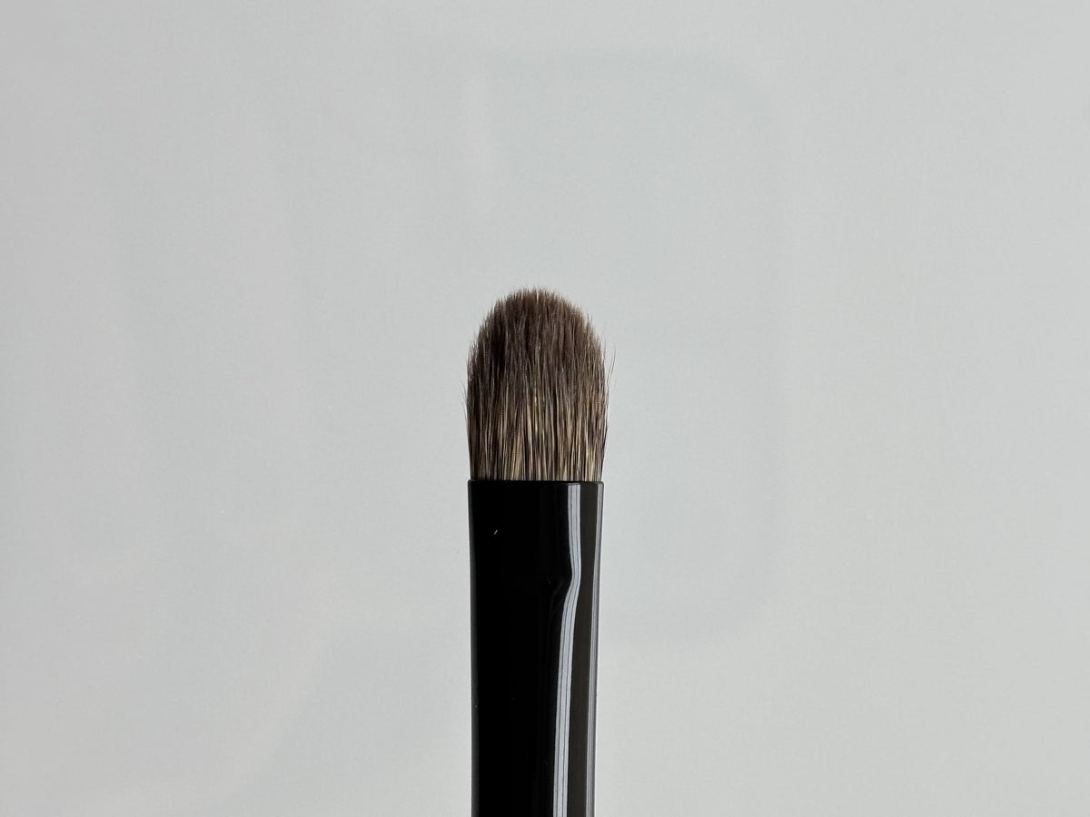 [Camellia] Eyeshadow Brush WF7SOVD12EPSQU<W3> (European Groomed White Squirrel Hair)