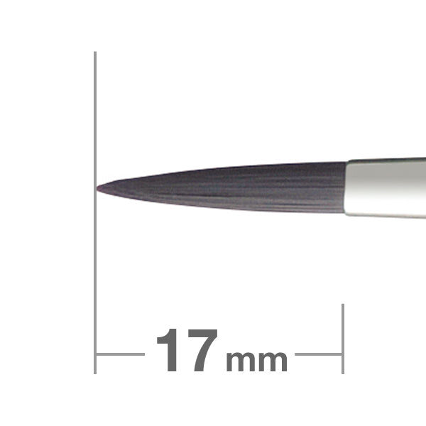 Pro Series 6 P Eyeliner [HC1555]