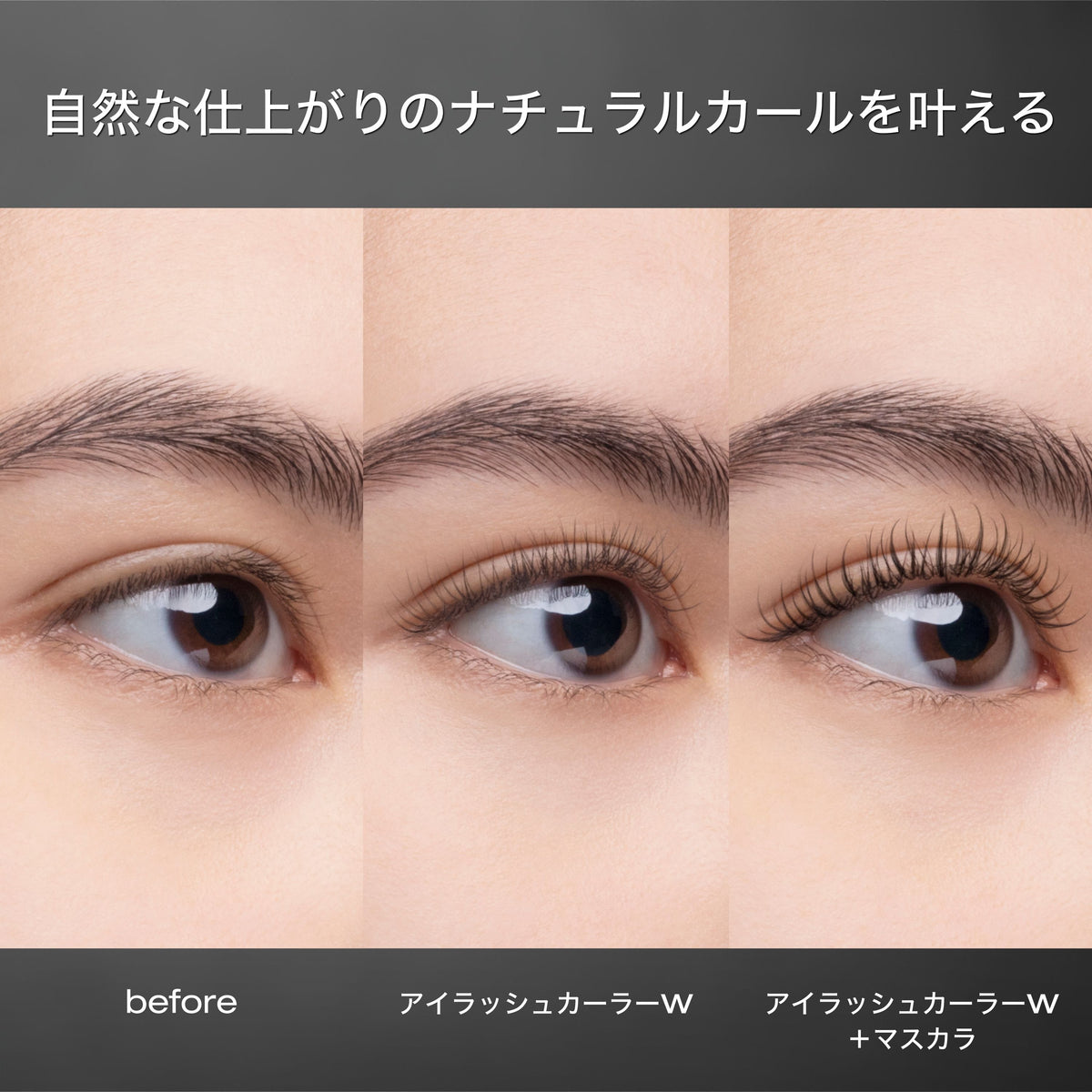 Eyelash Curler W