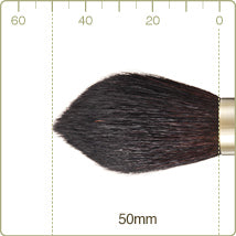 Chikuhodo G-16 highlight/Cheek Brush (sokoho goat)