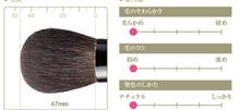 Load image into Gallery viewer, Chikuhodo MK-SK Sakura Powder Brush
