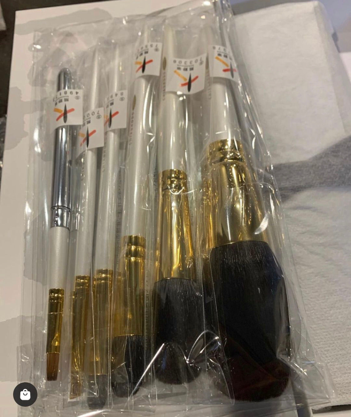 Chikuhodo S-GSN-6 (GSN-Series 6 Brush Set)